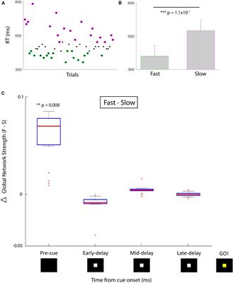 Network Brain-Computer Interface (nBCI): An Alternative Approach for Cognitive Prosthetics